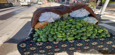 Dışı karpuza, içi kavuna, tadı salatalığa benziyor…  Viranşehir'in meşhur lezzeti tezgahlara indi!