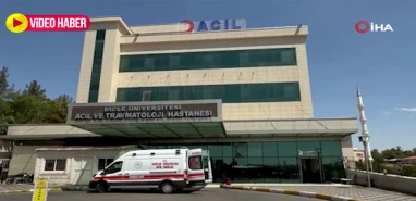 Şanlıurfa'nın yanı başında dehşet! Kız kaçıran gencin annesi öldürüldü