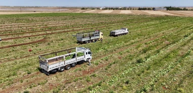 Diyarbakır’da 1-2 lira, Şanlıurfa’da 10 lira!