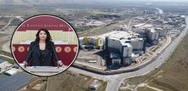Şanlıurfa’da çocuklar için sadece 2 doktor var! Konu Meclis’te