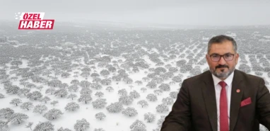 Şanlıurfa’da fıstık gibi gelişme: Kar soğuğu meğer ilaçmış!