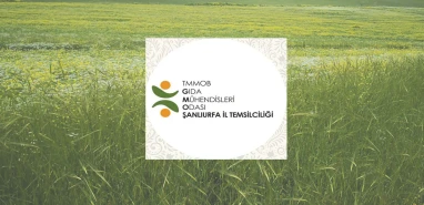 Dünya Gıda Günü! Şanlıurfa’dan daha iyi bir gelecek çağrısı