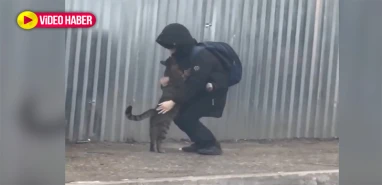 Üşüyen kedi sevgi dolu sıcak kucak bulunca!