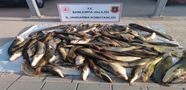 Şanlıurfa’da durdurulan araçta 180 kilo çıktı: 24 bin TL ceza yedi