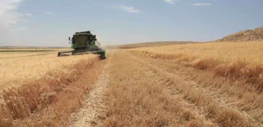 Tarımsal destek ödemeleri hesaba yatmaya başladı