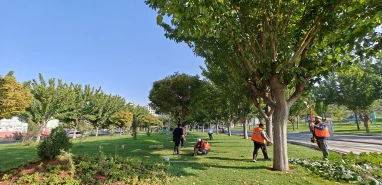 Urfa'da yeşil alanlar yenileniyor