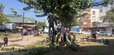 Eyyübiye’de park ve yeşil alanlar elden geçiyor