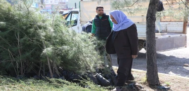 Viranşehir’de yeşil gelecek için fidan dağıtıldı!