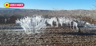 Şanlıurfa'da büyük tehlike: Burası Sibirya değil