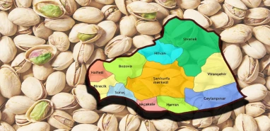 Şanlıurfa Türkiye’yi dünya üçüncüsü yaptı