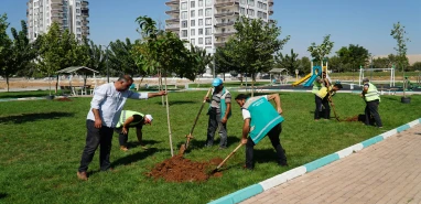 Haliliye Belediyesi parklarda ağaçlandırma çalışması yapıyor