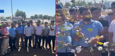 Ülkenin en önemli pamuk üretim merkezinde çiftçiler isyanda
