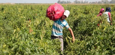 Urfa için ürküten tablo