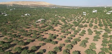 Fransızları Urfa’nın gözbebeği kurtaracak!