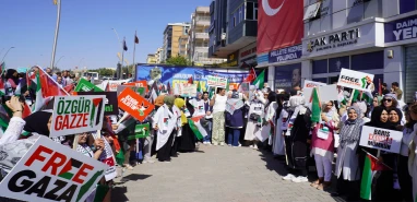 Şanlıurfalı kadınlar Gazze için tek yürek oldu! “Barış kadınla mümkün”