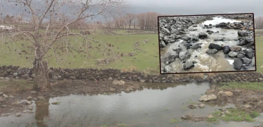 Şanlıurfa'da kuruyan çaylar birer birer coşmaya başladı! Yağışlar tarıma can suyu oldu