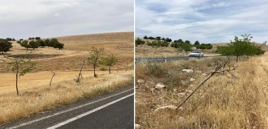 “Tarihin sıfır noktası”na sıfır özen! Göbeklitepe bunu hak etmiyor…
