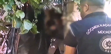 Yüzlerce düzensiz göçmen yakalandı! 28 bin personelle operasyon