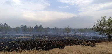 Şanlıurfa’da neler oluyor? Peş peşe yangınlar…
