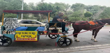 Şanlıurfa’da zaman yolculuğu! Faytonlar geri döndü
