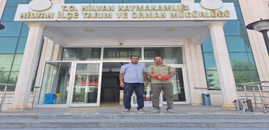 Hilvan’da nesli tükenmekte olan balaban kuşu kurtarıldı