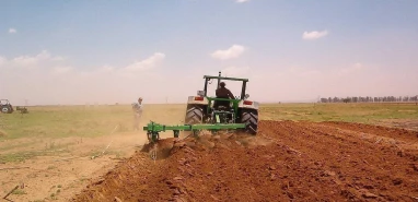 Şanlıurfa'da 'aşiret kanunu mu?' Hem gasp hem darp...