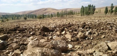 Şanlıurfa’da tarlada temizlik yapan çocuğun feci sonu!