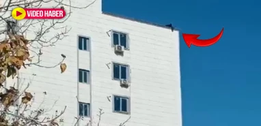 Şanlıurfa'da canına kıyacaktı...