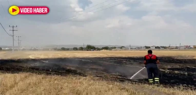 Şanlıurfa'da yine anız yangını!
