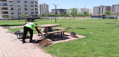 Şanlıurfa’da belediyeden bir ilk!