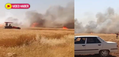 Şanlıurfa'nın tüm ilçelerinde hem emek hem milli servet yanıyor