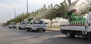 Şanlıurfa’da haşere alarmı, ekipler devrede