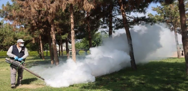 Şanlıurfa’da yaz kabusuna son! Ekipler teyakkuzda…