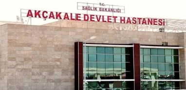 Yetkililere çağrı  Akçakale'de cilt hastalıkları için çile sürüyor