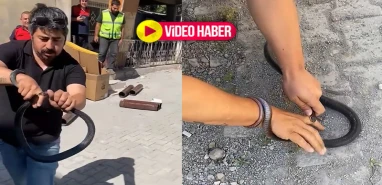 Nefes kesen anlar: Yılan parmağını ısırdı, o sakinliğini korudu