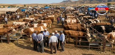 Şanlıurfa’da Kurban Bayramı öncesi cepler fena yanacak!