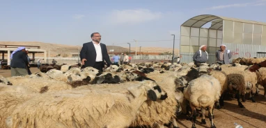 Şanlıurfa'nın can damarı kesiliyor: Büyük kriz kapıda!