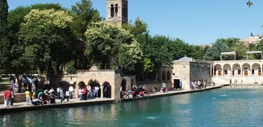 Şanlıurfa’da 8 Mart Dünya Kadınlar Günü'ne özel kadınlara hediye çeki!