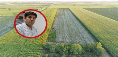 Şanlıurfa'da bunu eken yandı: Hem susuz hem elektriksiz kalacaklar…
