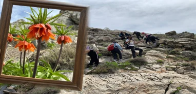 Her yıl sadece 20 gün açıyor: Şanlıurfa’da 60  doğasever "Ağlayan Gelin"in peşine düştü