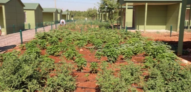 Şanlıurfa’da hobi bahçeleri kura sonuçları açıklanacak! Tarih belli oldu
