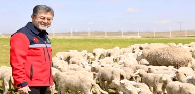 Bakan Yumaklı küçükbaş destek projesinde merak edilenleri yanıtladı!