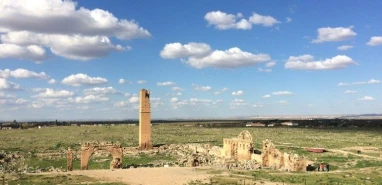 Harran İlçesi Yerel Eylem Grubu Derneği'nin web sitesi kurulumu hizmet alımı teknik şartnamesi