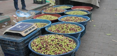 Şanlıurfa'da zeytin fiyatları tavan yaptı! 'Zeytin ekmek yeriz' demeyin: Artık o da hayal oldu