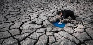 Türkiye, iklim değişikliğiyle mücadelede öncü rol oynayacak