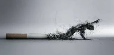 Sigaranın Sağlığa Zararları