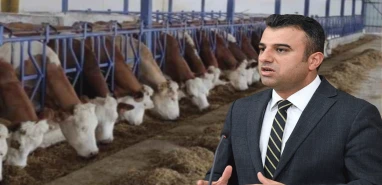 Şanlıurfa vekili yıllardır çözülemeyen konuyu gündeme taşıdı!