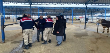 Siverek'te jandarma ve polisten operasyon! Ceza üstüne ceza...