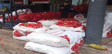 Urfa hali biberle doldu taştı ama vatandaşın yüzü gülmüyor!