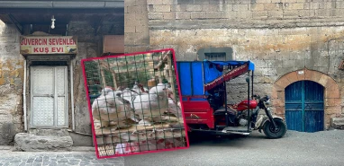 Bir İspanyol gözüyle Urfa